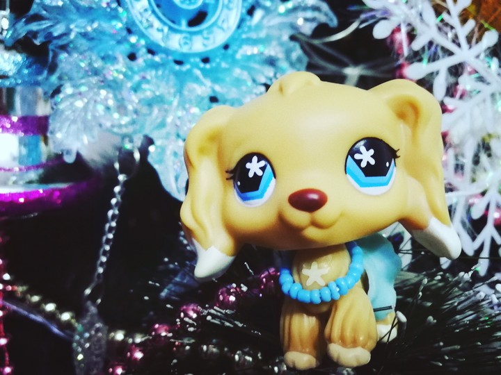 LPS