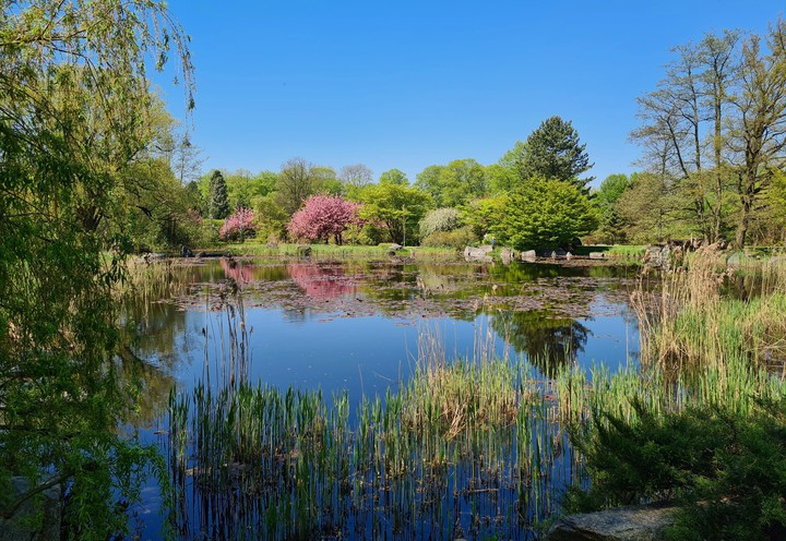 pond