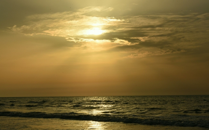 Golden Sunset