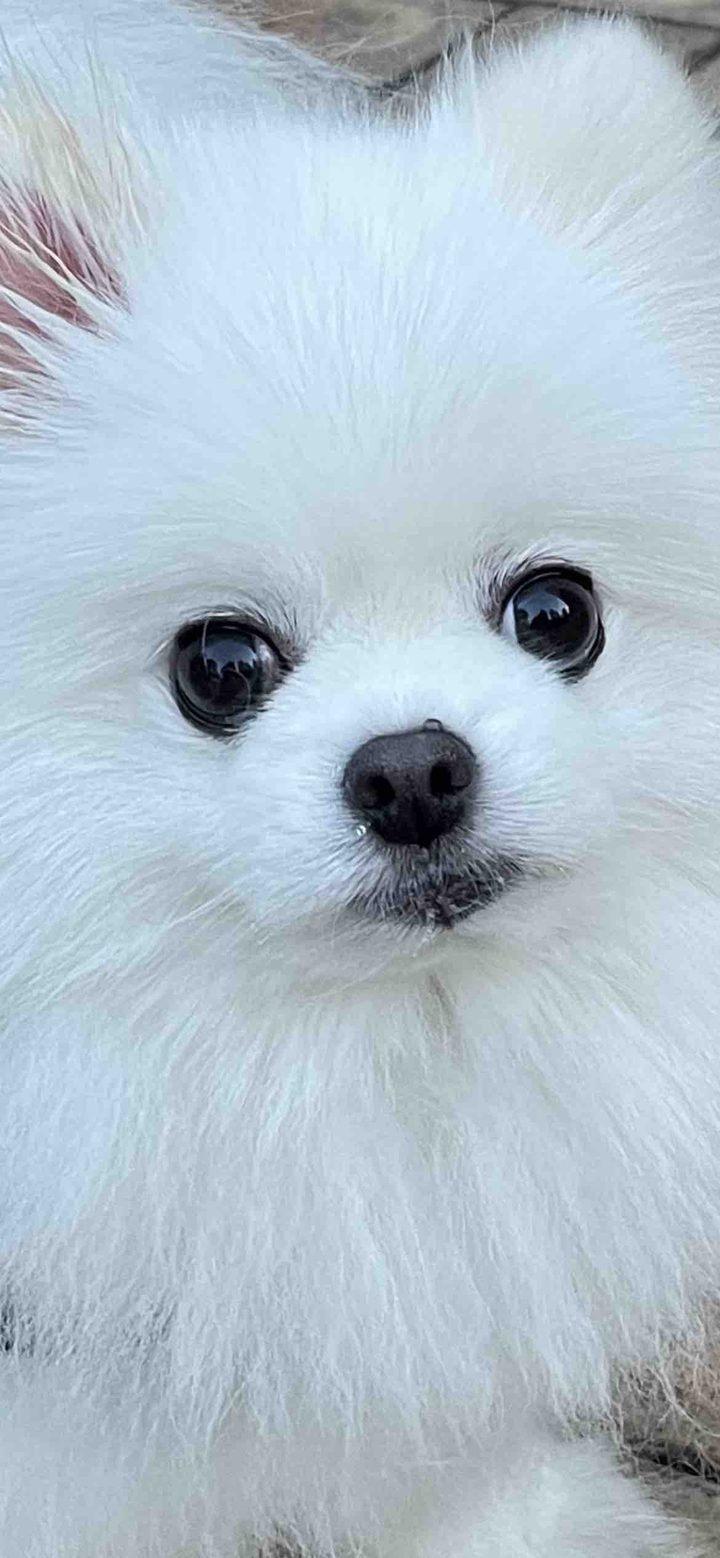 ?