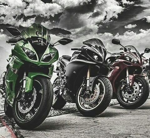 bikes