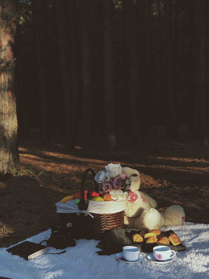 Picnic ☕️