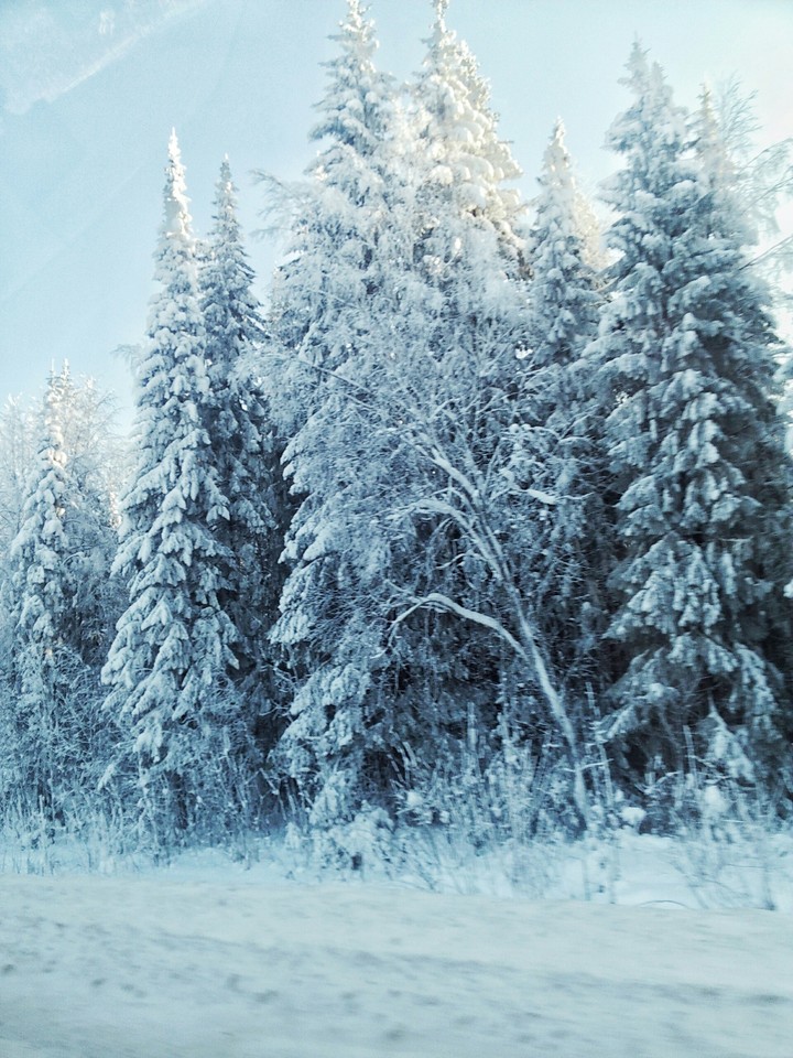 winter