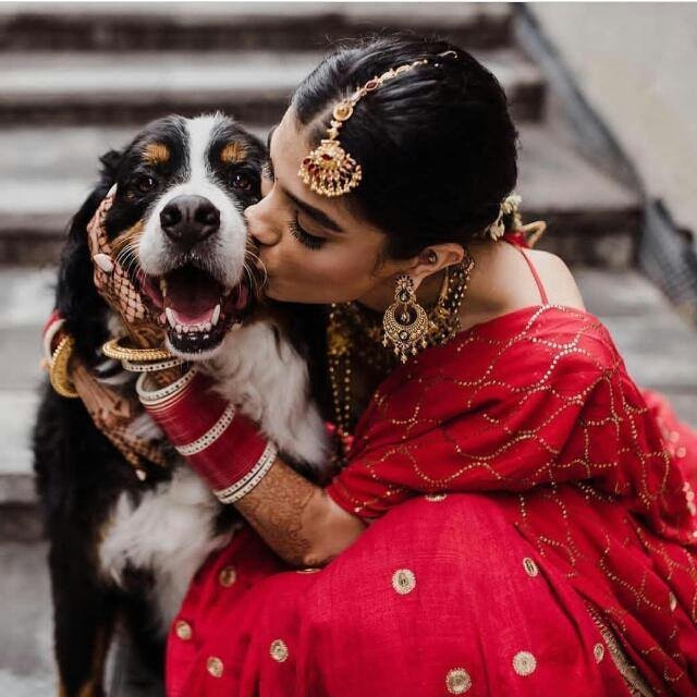 Being a pet lover...❤