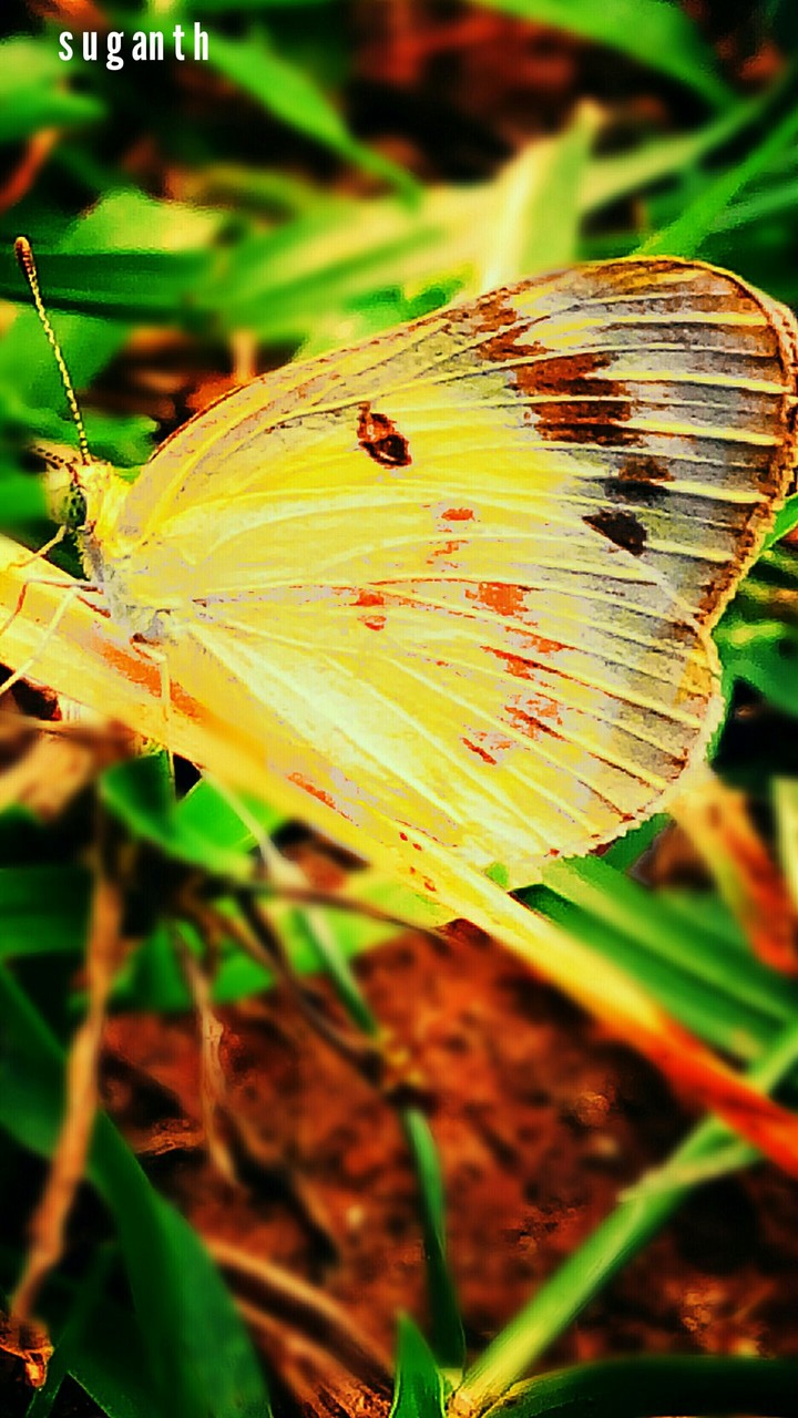 original clickzzzz .....