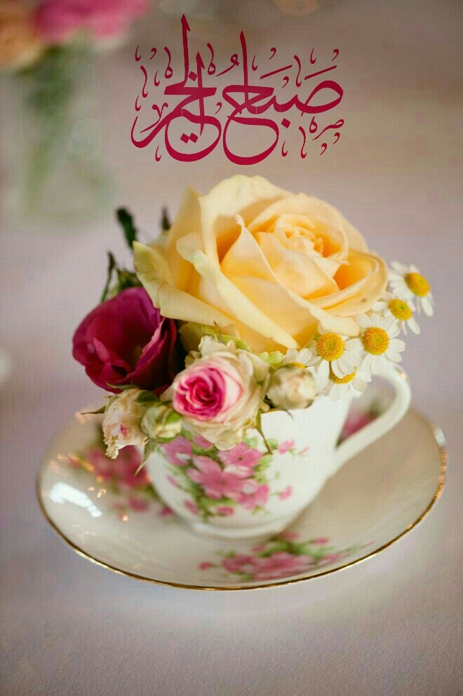 good morning!