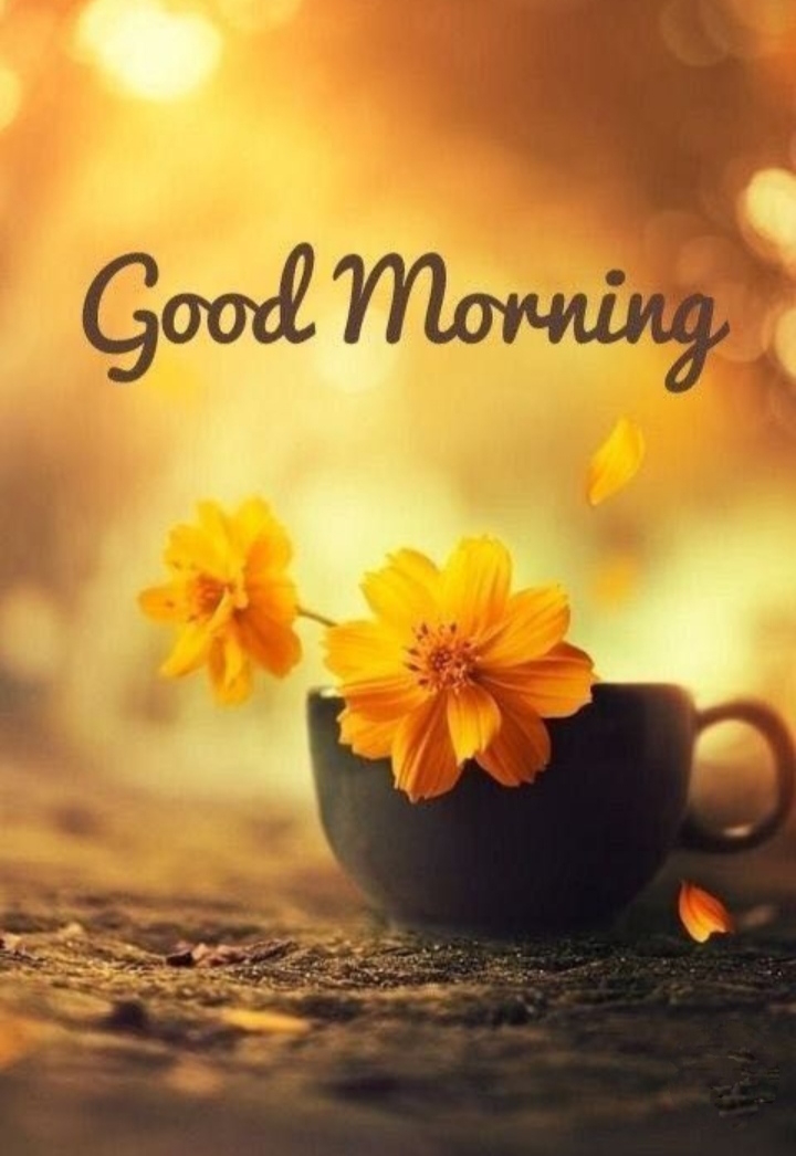 Good morning ?