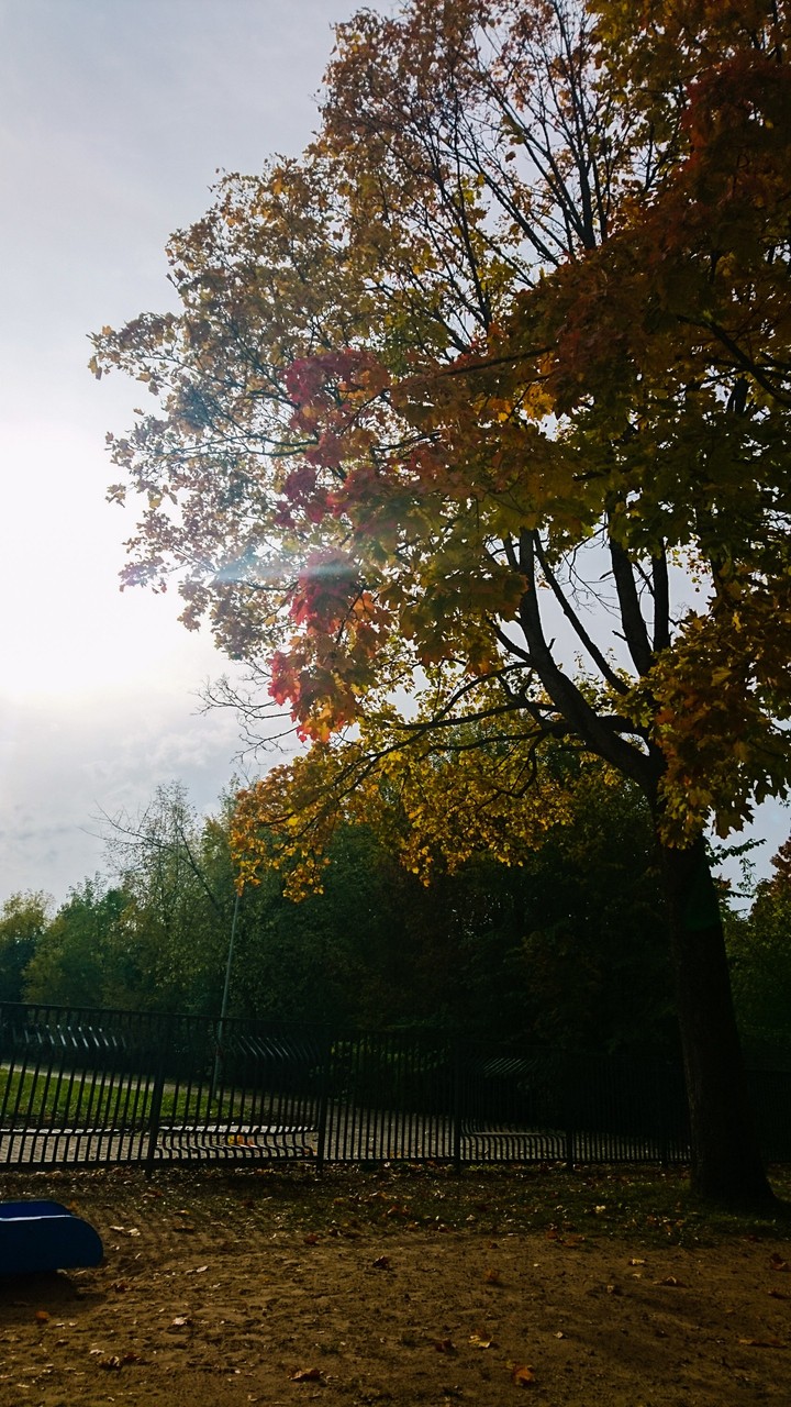 Autumn