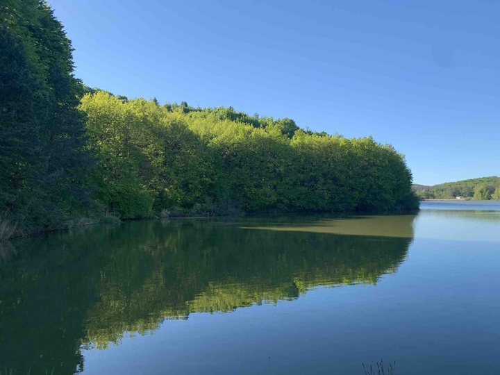 Lake in Zala country from Hungary