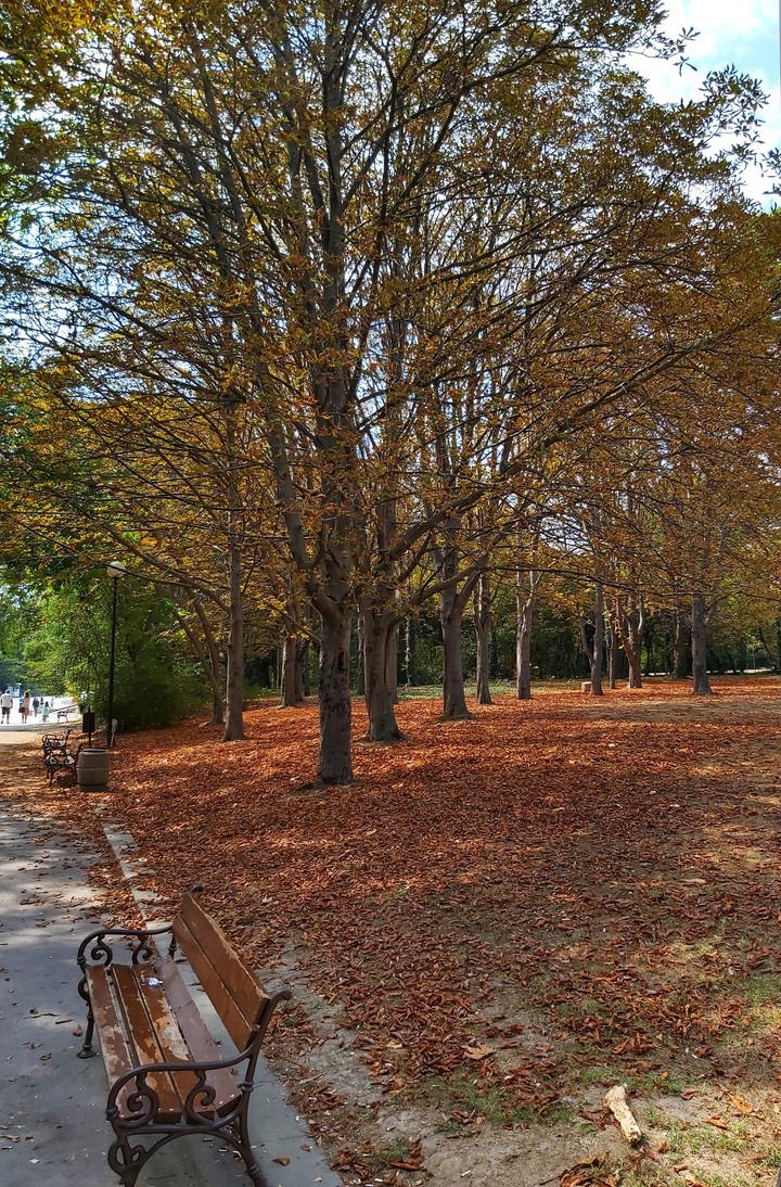 Fall