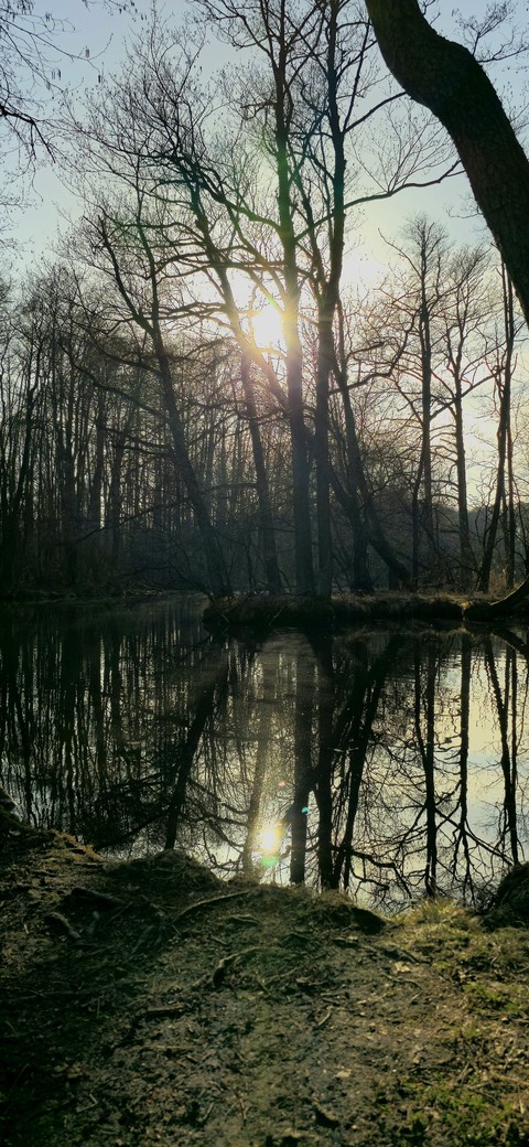 רקעים reflection, sun
