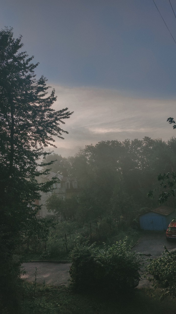 Fog