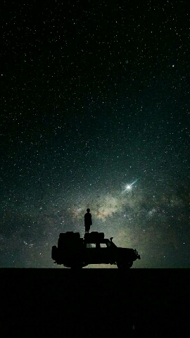 see