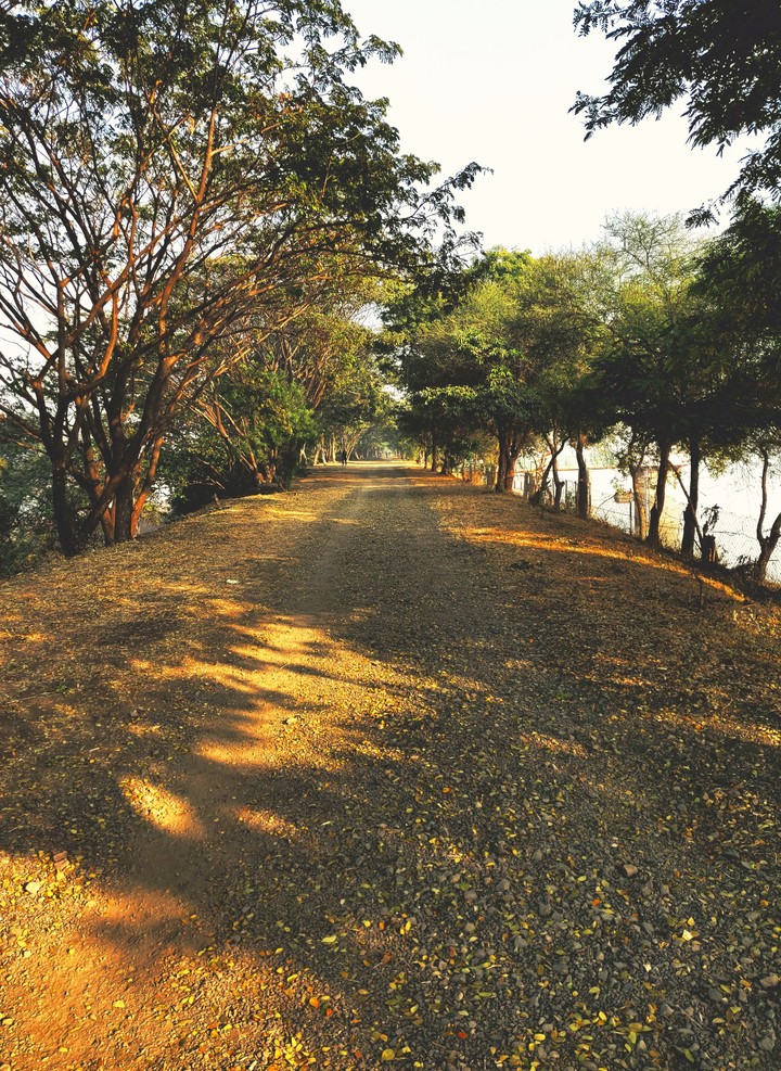 Road