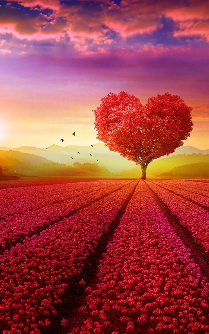 Red Heart Tree