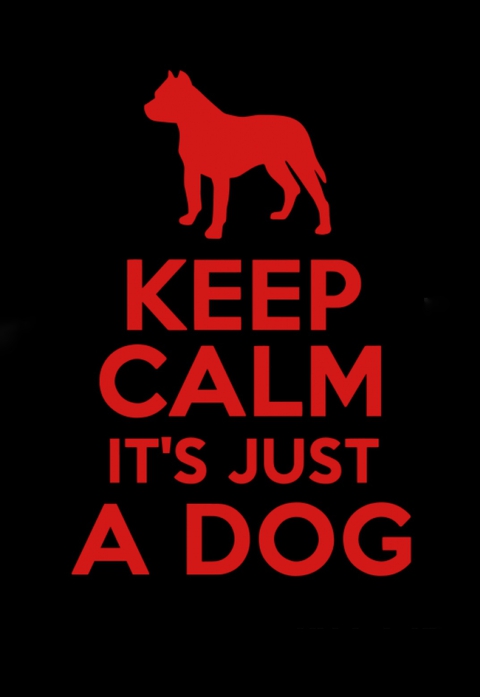 Stop animal cruelty