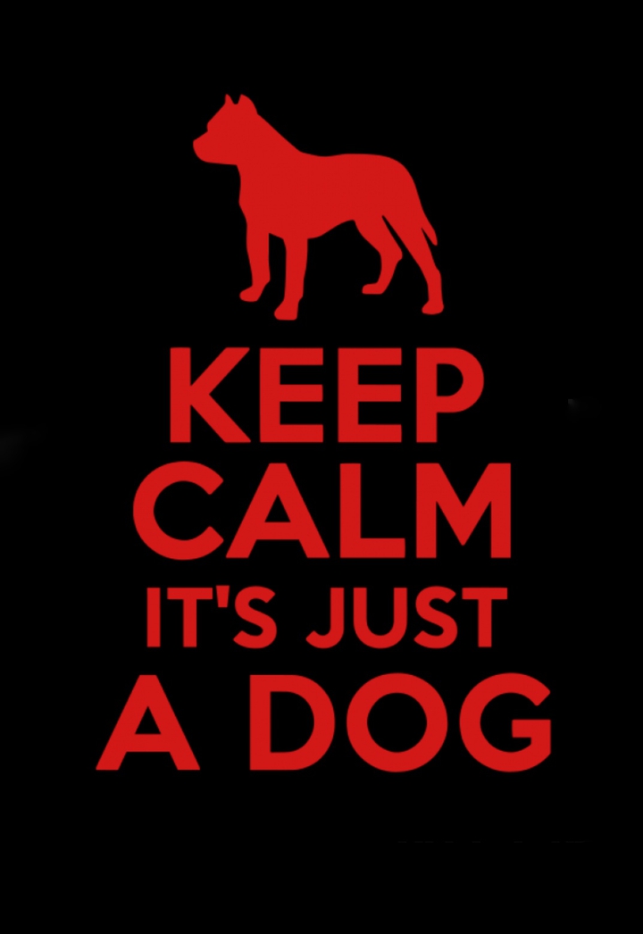 Stop animal cruelty