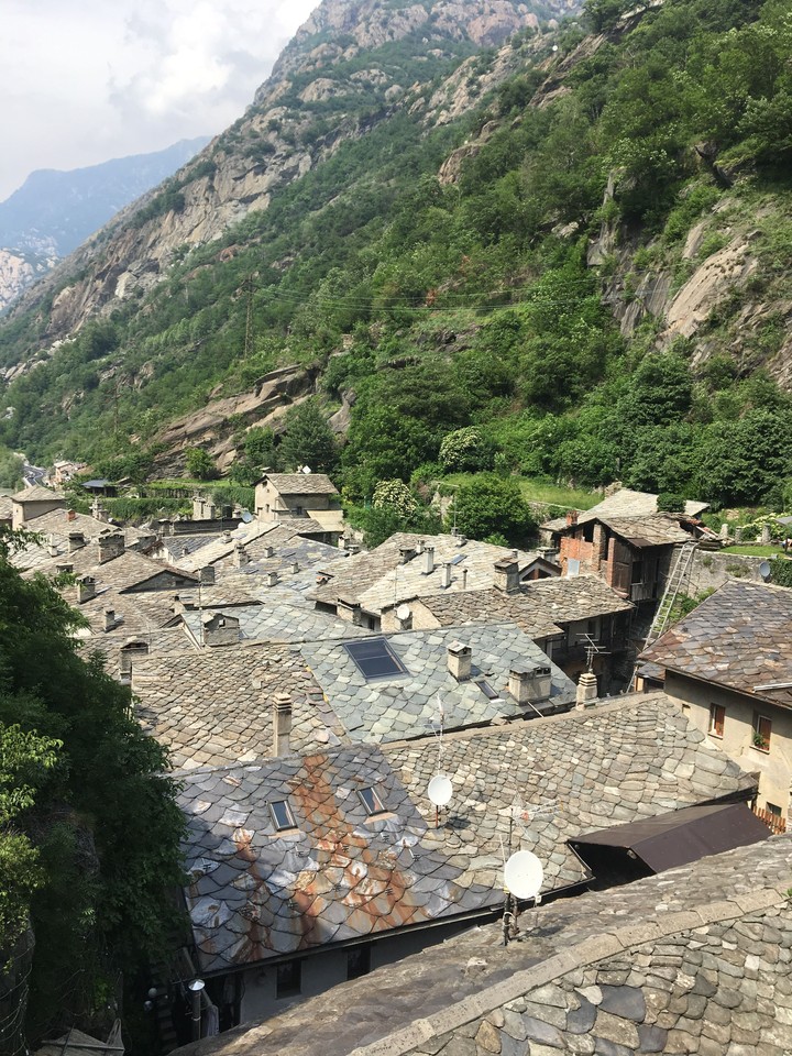 Bard_italy (Ao)