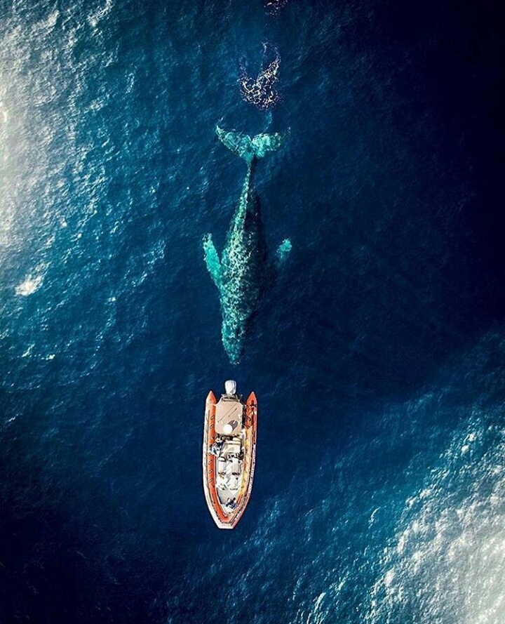 sea