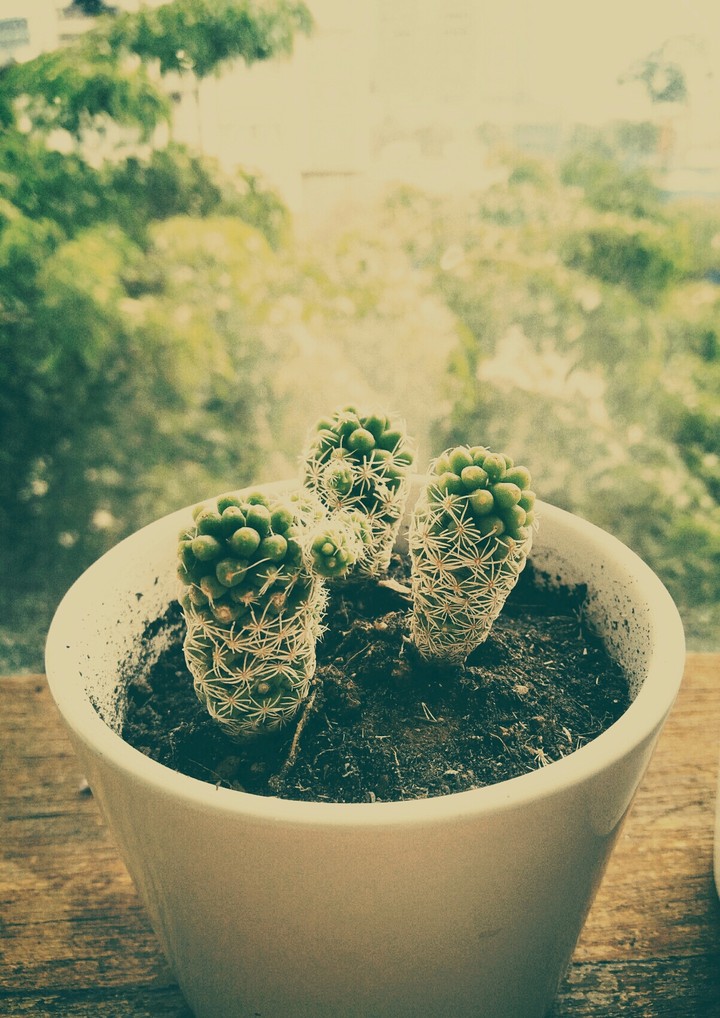 For all the passing days.
