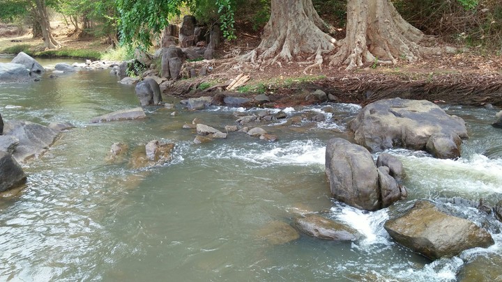 pure water