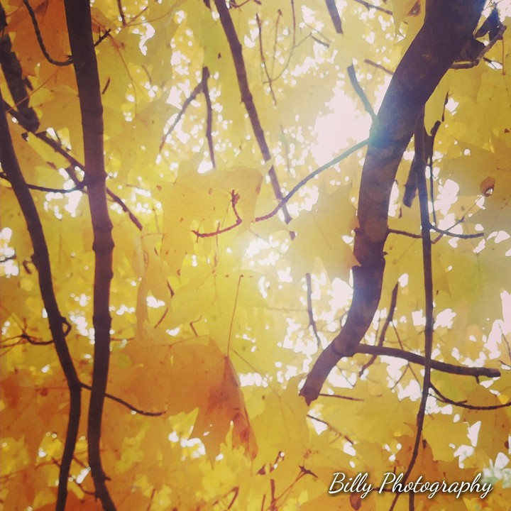 billy photography