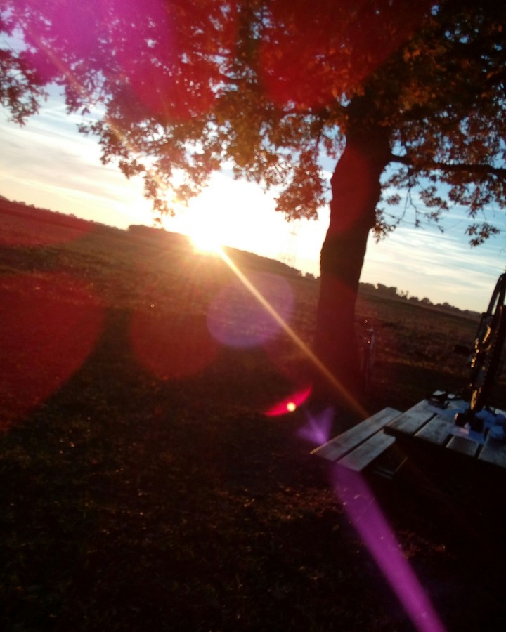 Automne