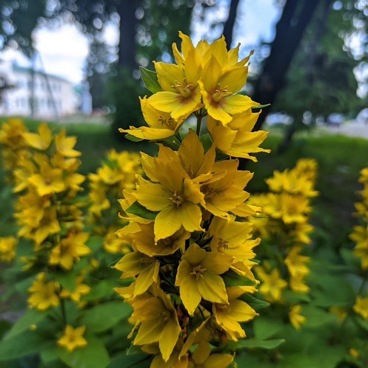 #Україна #літо #summer