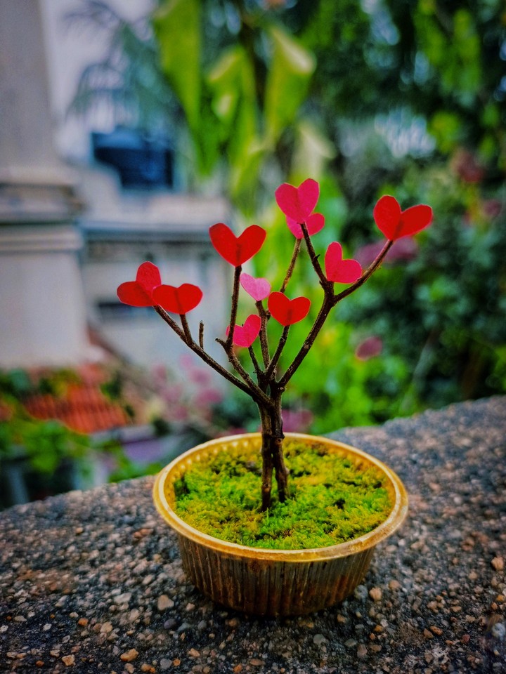 love tree