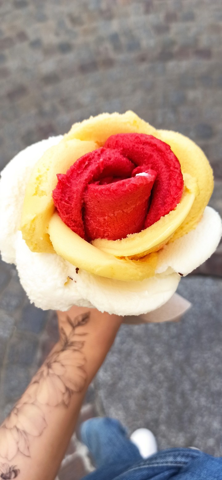 Jolie fleur de printemps