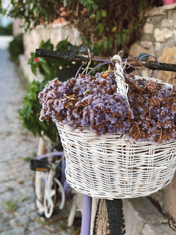 purple