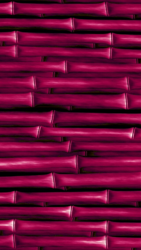 Bamboo