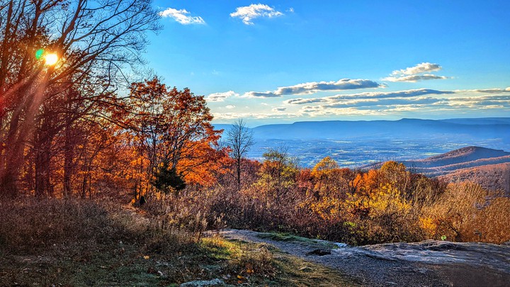 Shenandoah  National Park - Virginia, US