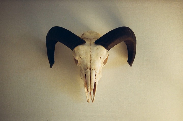 ᴏ ᴏ ᴘ s