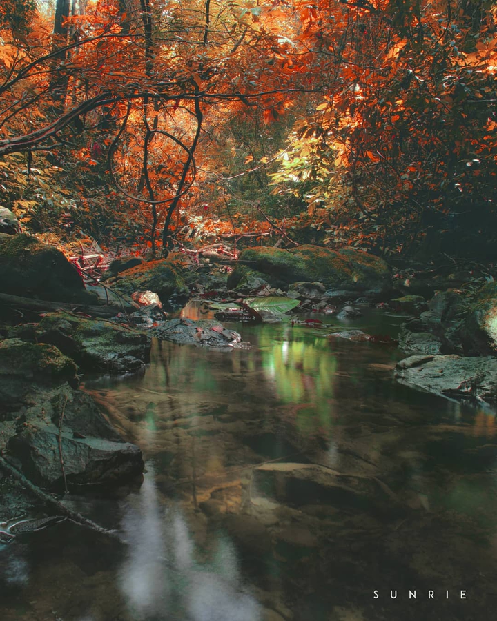 creek ars
