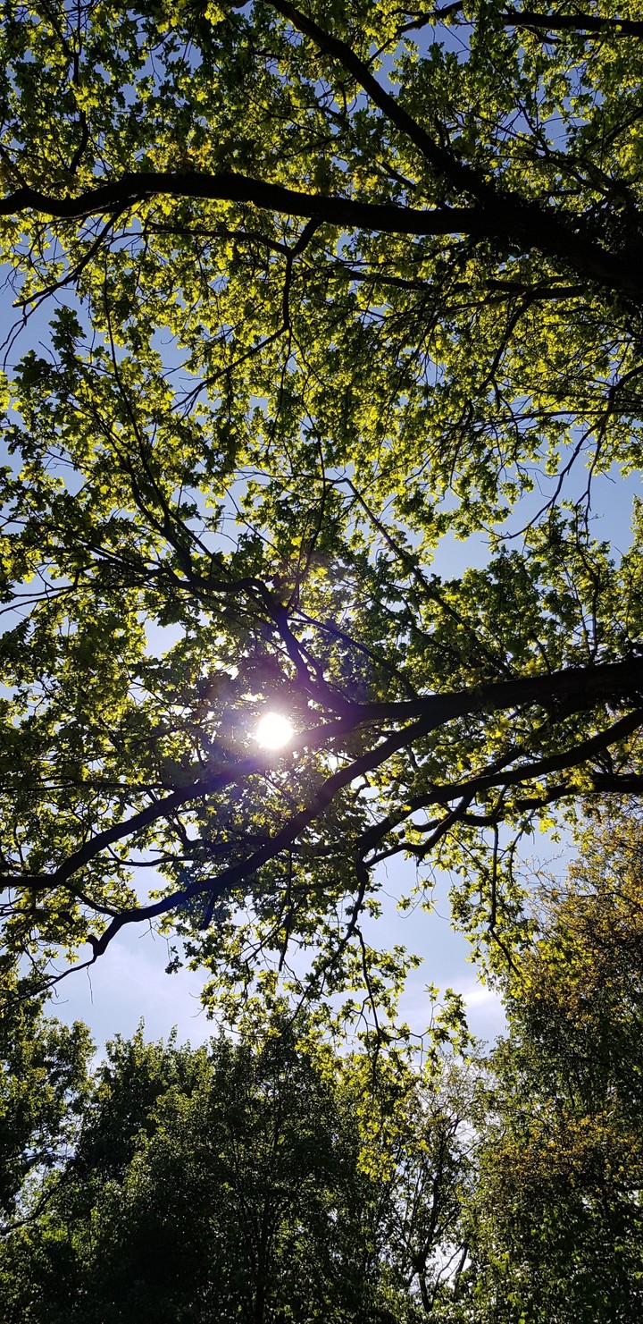 spring