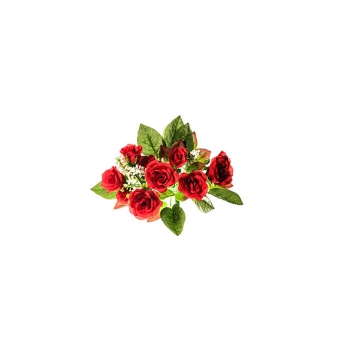 red roses