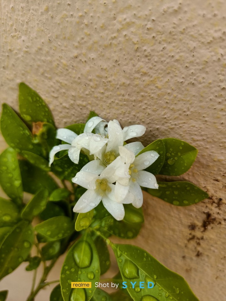 beautiful nature