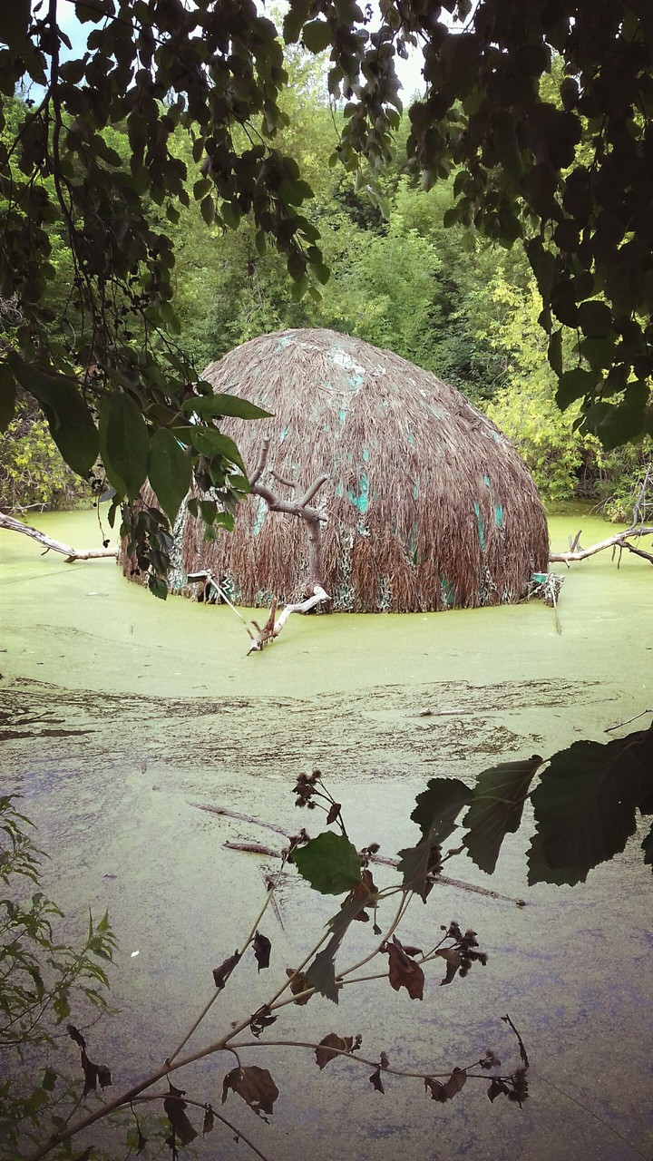 логово Водяного