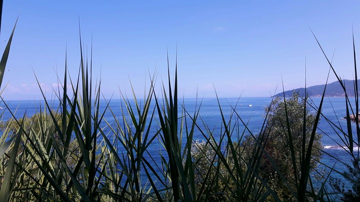 sea