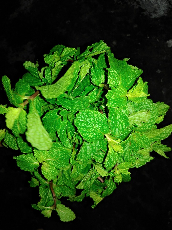 mint