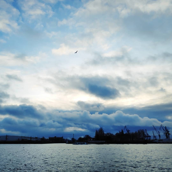 Hamburg harbour