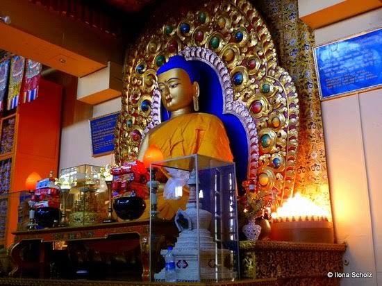 Budha