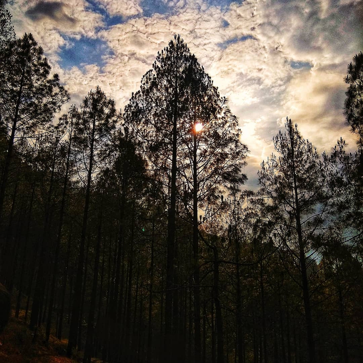 Sunset is about new beginning