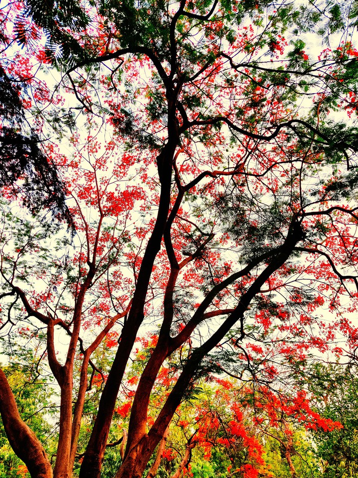 after rain