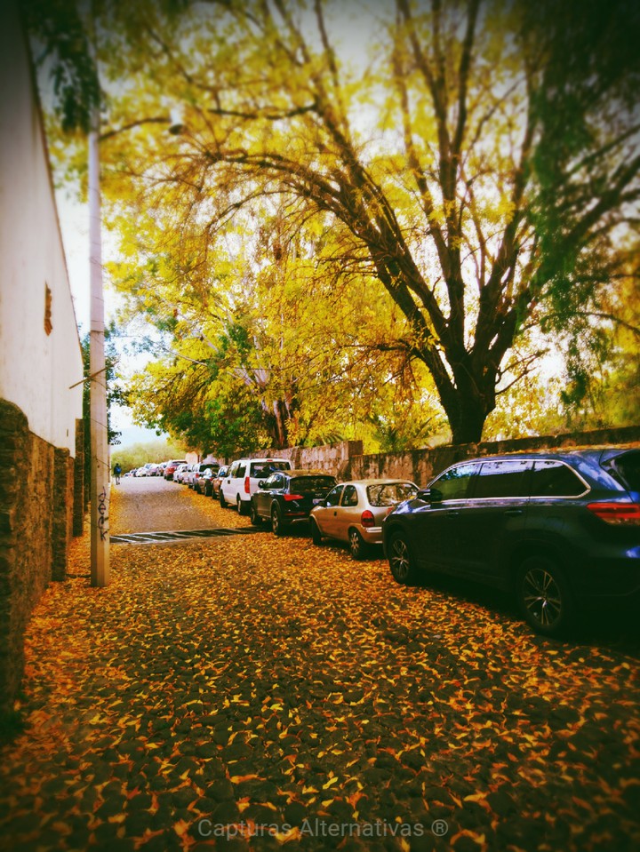 Otoño