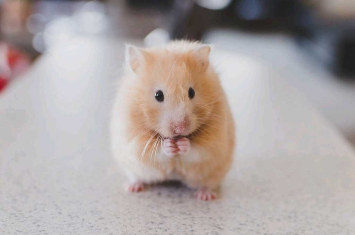 Cute