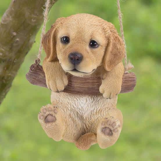 cute