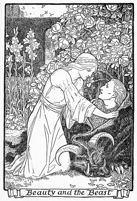 illustration, plant háttérképek