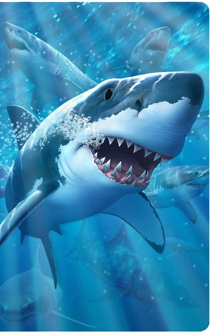 sharks